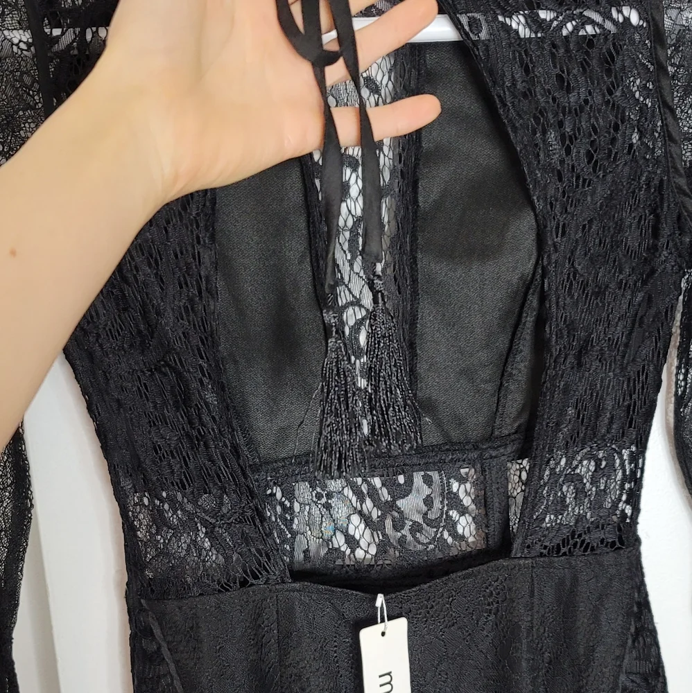 Minuet sheer lace dress - Picture 13 of 15